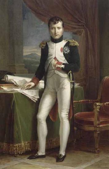 Francois Pascal Simon Gerard Portrait de Napoleon Ier en uniforme de colonel des grenadiers a pied de la Garde Sweden oil painting art